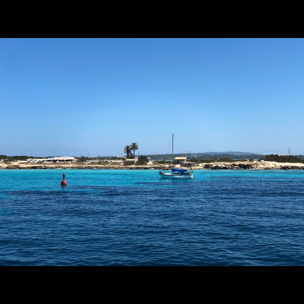 Meet your Posher, Athena